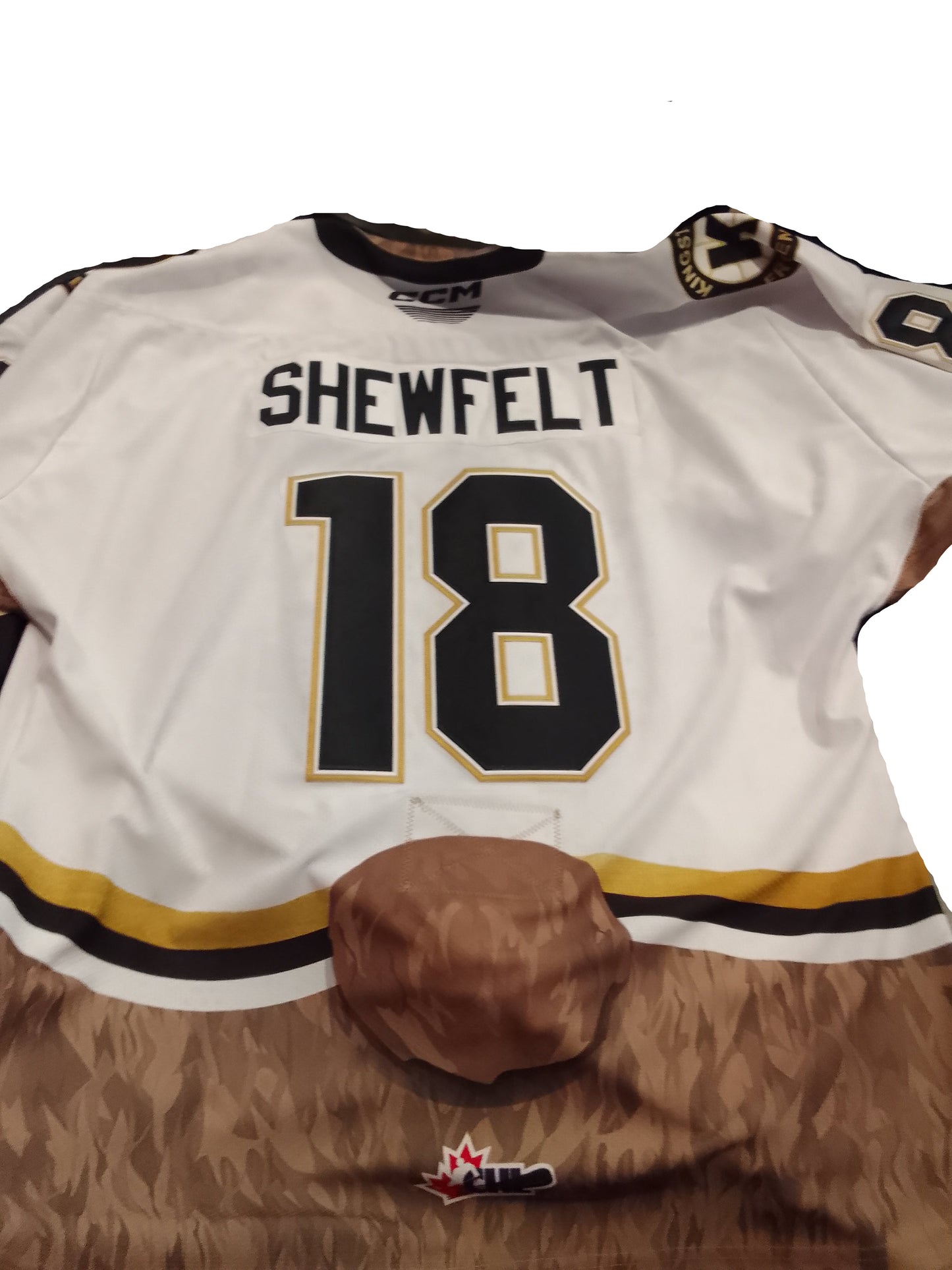 Game-Worn Teddy Bear Jersey's